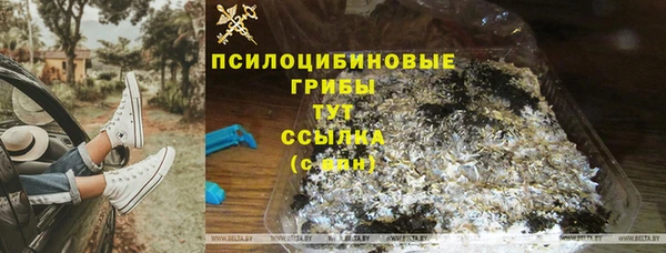 трава Алексеевка
